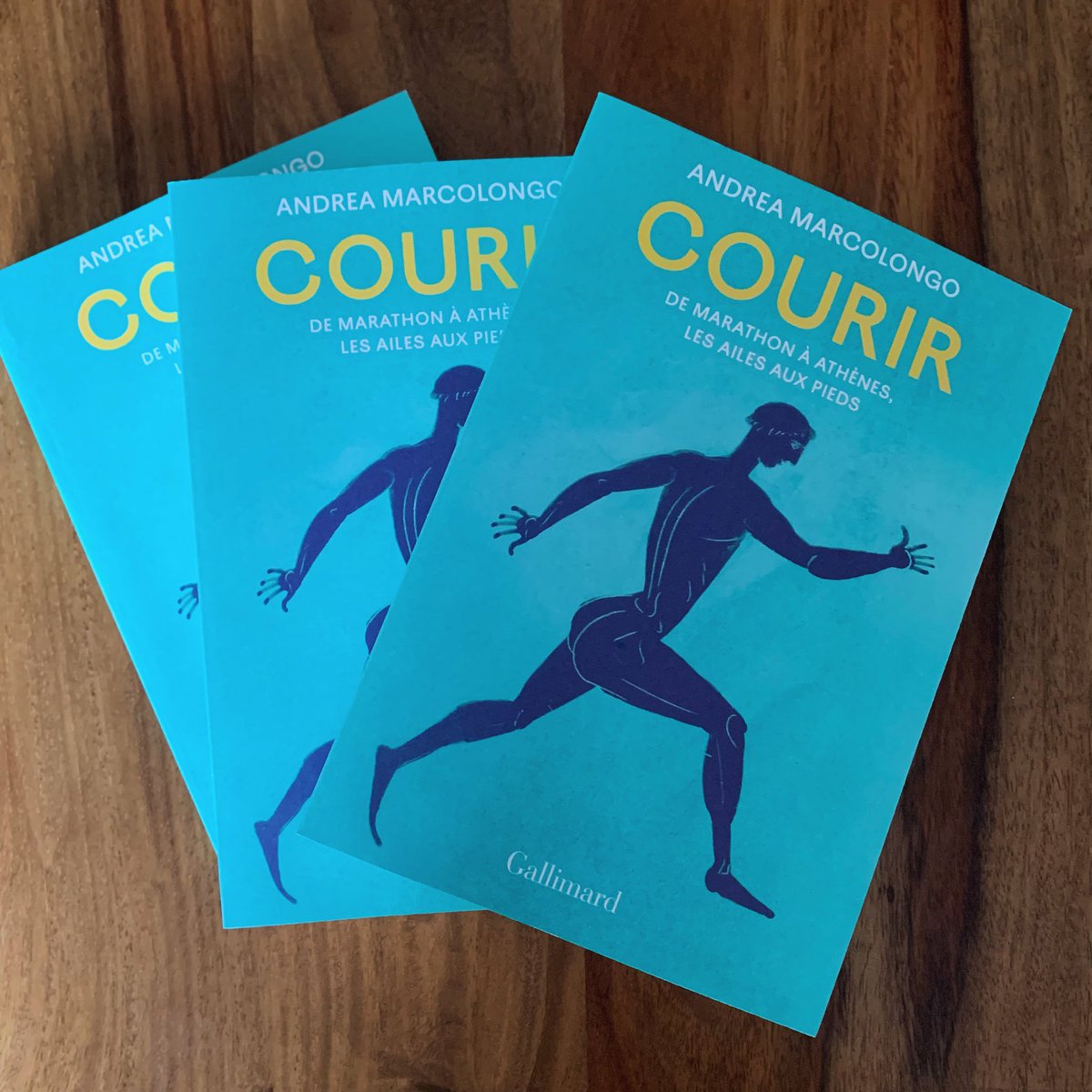Je suis ravie de partager avec mes lecteurs français cette invitation à COURIR avec moi qui paraît aujourd’hui en librairie chez @Gallimard 🏃‍♀️

Lancement le lundi 27 mai à 19h à la @libcompagnie à Paris!
