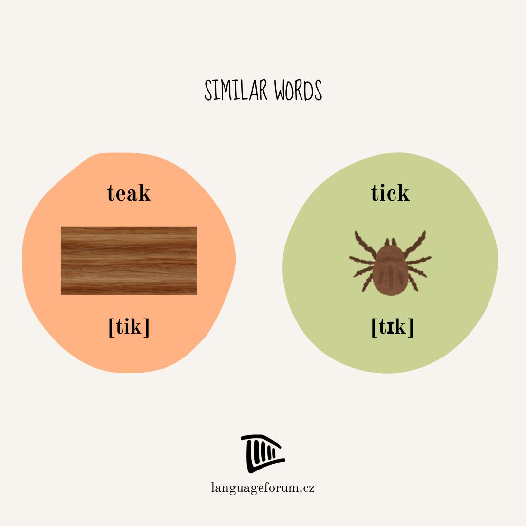 Tick season is here! 😱 Be sure to stay safe from tick borne illnesses, and make sure you know how to pronounce tick correctly in English! 😉

#languageforum #learnenglish #similarwords