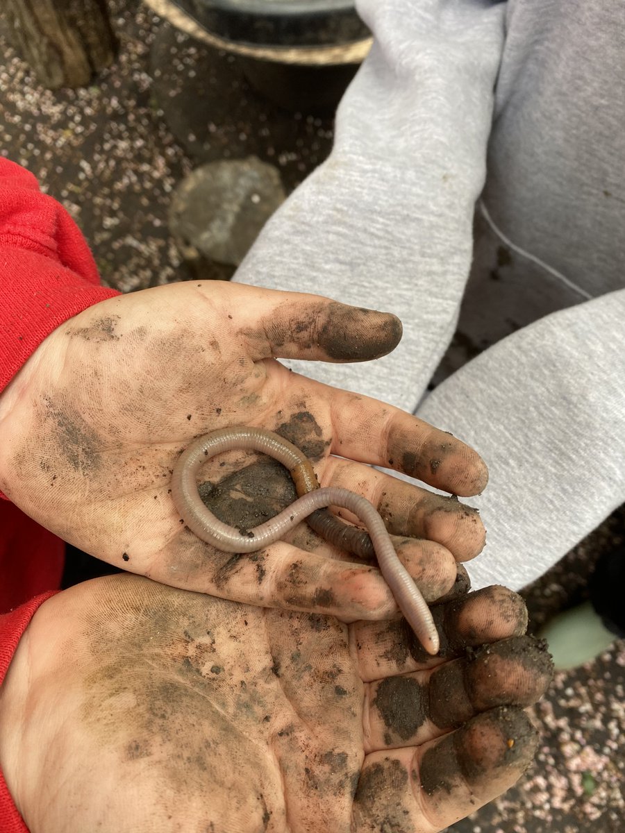 4F had a fun (and muddy!) time in Forest Schools yesterday...