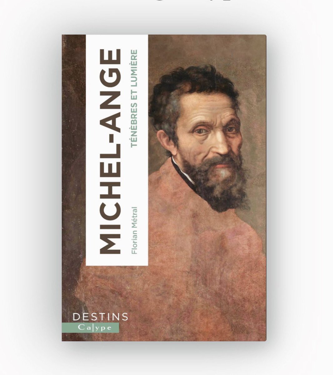 Sortie aujourd’hui, le 16 mai 2024, de ma biographie de "Michel-Ange. Ténèbres et Lumières" aux éditions @calype, disponible dans toutes les librairies. 

Merci infiniment à Cédric Michon et à son équipe pour le magnifique travail éditorial.

Bonne lecture !