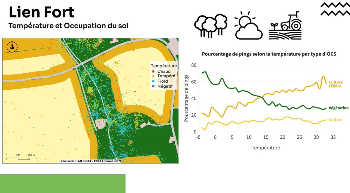 🦃 🛰🗺Mieux comprendre le comportement de #faisans grâce aux SIG c'est le travail qui a été confié aux M1 <a href="/E_Sigat/">Master SIGAT</a> par la FDC35 et <a href="/OFBiodiversite/">Office français de la biodiversité</a>

➡️Analyse spatiotemporelle de traces GPS, occupation des sols, végétation, méteo...les résultats sont ici : docs.google.com/presentation/d…