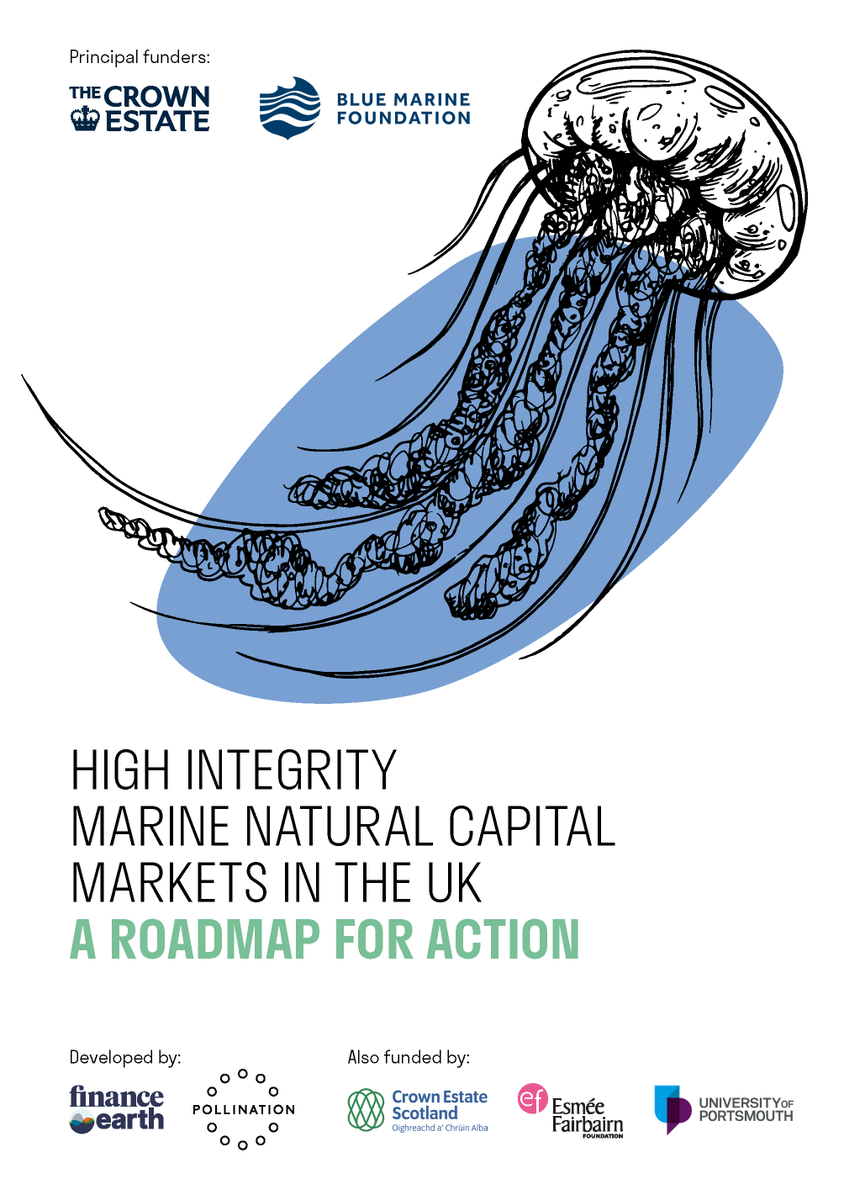 We are pleased to announce the launch of High-Integrity Marine Natural Capital Markets in the UK – A Roadmap For Action, developed with Pollination and funded by @TheCrownEstate, @Bluemarinef, @CrownEstateScot, @EsmeeFairbairn and @portsmouthuni 📄🌊 👇 bluemarinefoundation.com/wp-content/upl…