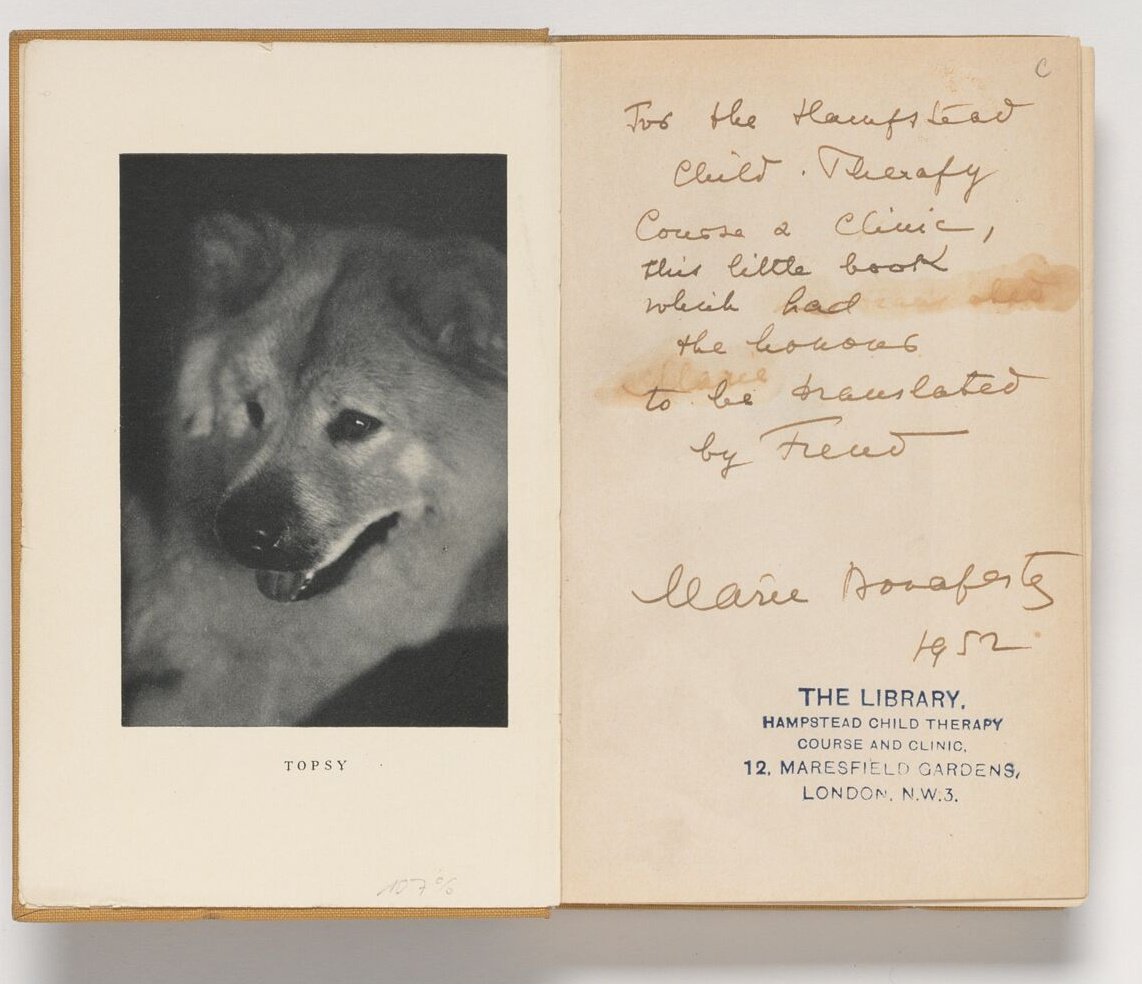 Freud en 1938, qui traduit en allemand 'Topsy, chow-chow au poil d'or', le récit de la radiothérapie du chien de Marie Bonaparte. Je ne m'y attendais pas science.orf.at/stories/320992…