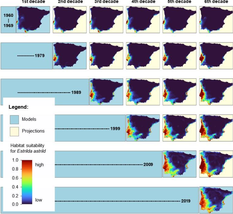 ARPHAPreprints tweet media