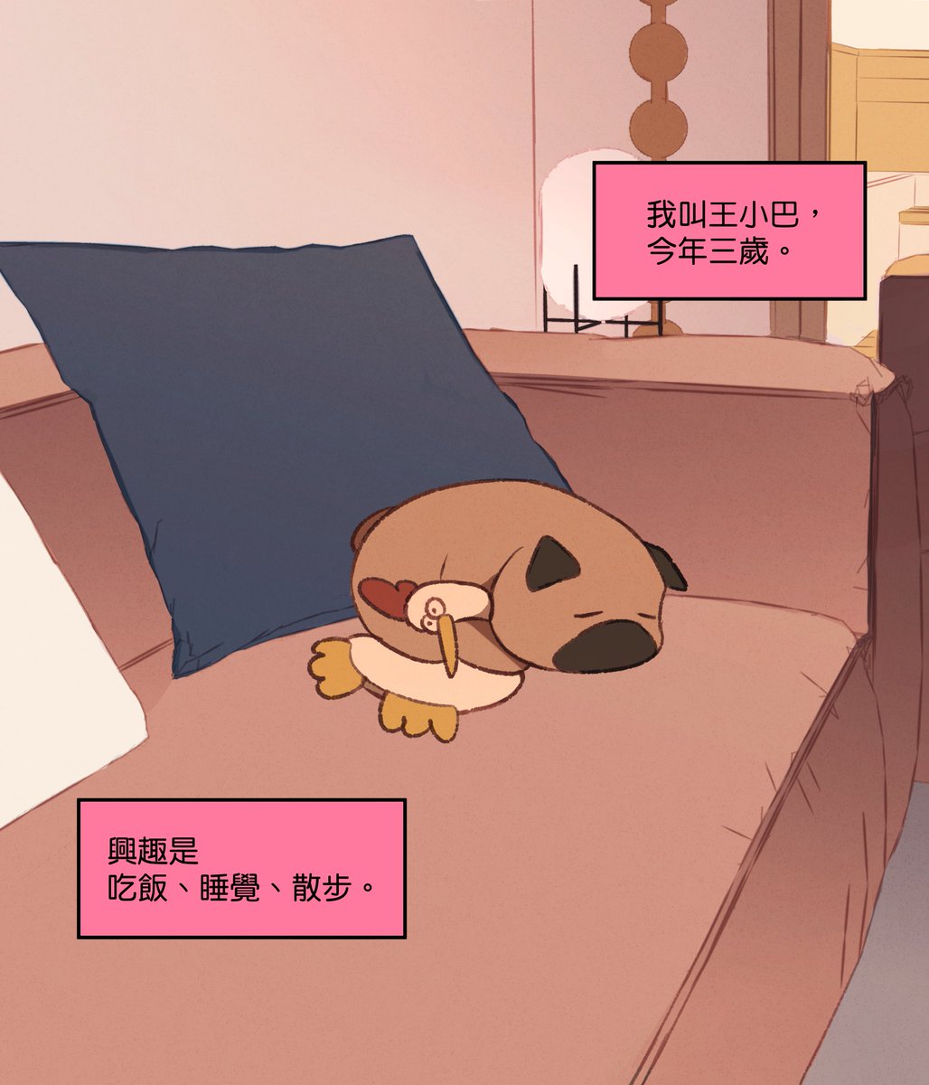 rishiazao's tweet photo. 🐶💤 https://t.co/Snsf8mkaYU