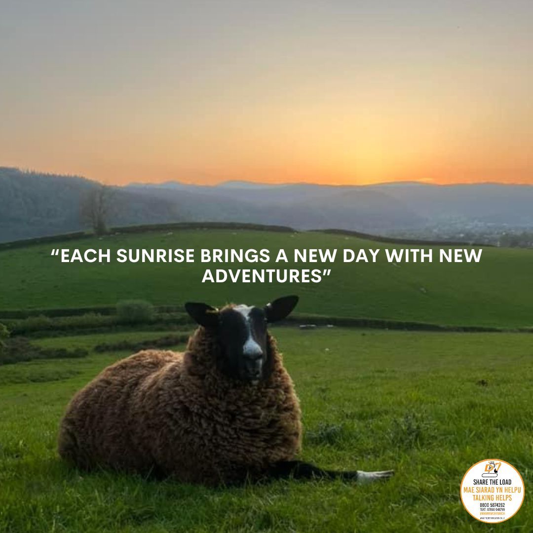 Bore Da • Good Morning 🚜 

☎️ I siarad • To talk: 0800 587 4262 

📱Neu testun • Or text: 07860 048799 

🕰️ Ar agor 24/7 • Open 24/7 

#ShareTheLoad #RhannwchYBaich