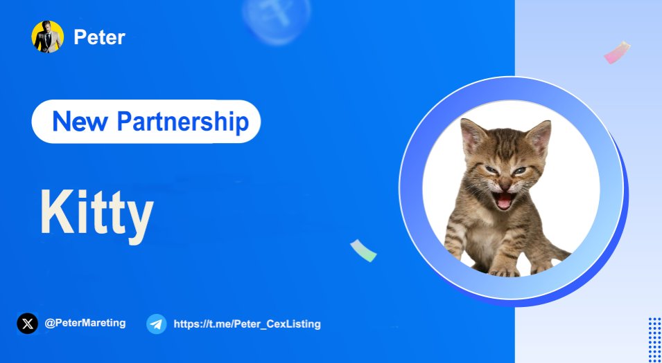 📢 New Partnership Alert 🚨

We are excited to have a partnership with <a href="/Saga_KittyMeme/">Roaring Kitty ($Kitty)</a>

🌐Website:
roaringkitty.tech

🔵Telegram:
t.me/kittyglobal

🛡️Twitter: 
x.com/Saga_KittyMeme