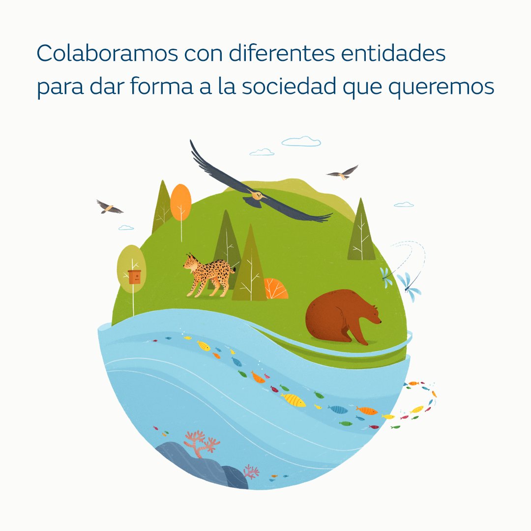 Mantenemos un compromiso de #colaboración con diferentes ámbitos de la sociedad, destinando recursos a programas culturales, sociales, de sostenibilidad y medio ambiente. Colaboramos con diversas instituciones para ello, como @GREFA_Fauna, una organización que se dedica a la