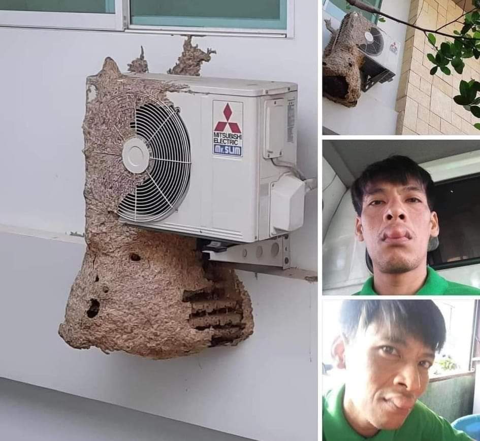 TRẦN HỒNG 225 tweet media