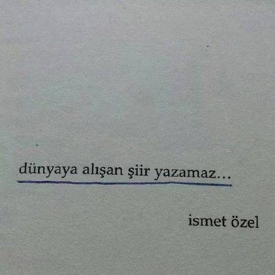 Dünyaya alışan şiir yazamaz.. İsmet Özel