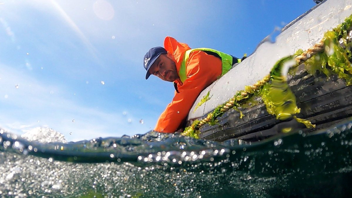 Grattis Kristoffer Stedt, algforskare <a href="/goteborgsuni/">Göteborgs universitet / University of Gothenburg</a>, som tilldelas stipendium ur Stiftelsen Konung Carl XVI Gustafs 50-årsfond för vetenskap, teknik och miljö för sin forskning om nya metoder för odling av alger t.ly/r6Tbu