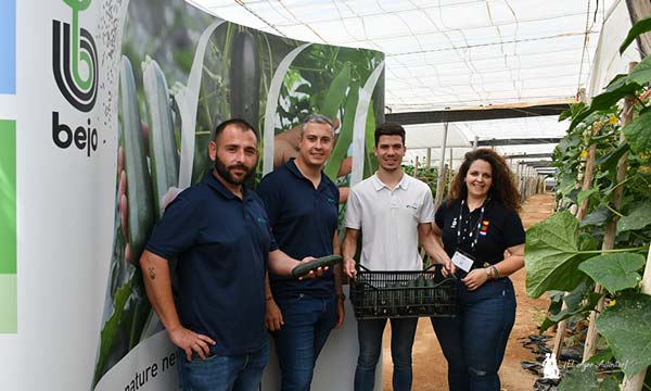 🆕🆕Bejo se estrena en el #pepino tipo francés con la variedad Pombal 🥒
agroautentico.com/2024/05/bejo-s…

<a href="/BejoEspana/">Bejo España</a> 

👉La calidad de sus frutos es muy buena, destacando por su intenso color verde oscuro y sus espinas marcadas, incluso en los frutos secundarios.
#agricultura #agro