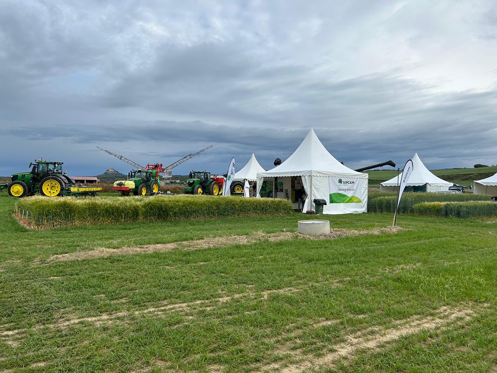 La Jornada Cultiva de Somontano 2024 está a punto de comenzar 🙌

📍 Os esperamos en el stand 17 (junto a la carpa de comidas) para explicar nuestras soluciones para #cereal de invierno 🌾

#SIPCAMIberia #sanidadvegetal @cultiva_jornada