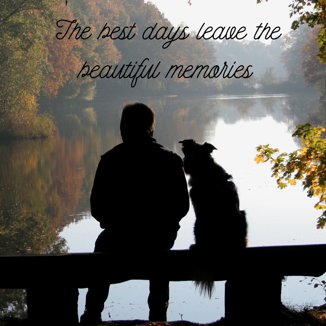 Things end but memories last forever!!!! ❤️🐶

#Dogexpress #Celebratingdoglove #Doglovers #Dogowners #lovemydog #doglove #doglife🐾 #dogmemories🐕 #dogbond #dogfriendship #dogsofinsta #dogcare #purelove #dogpicture #petstagram #dogstagram #dogsofinstagram