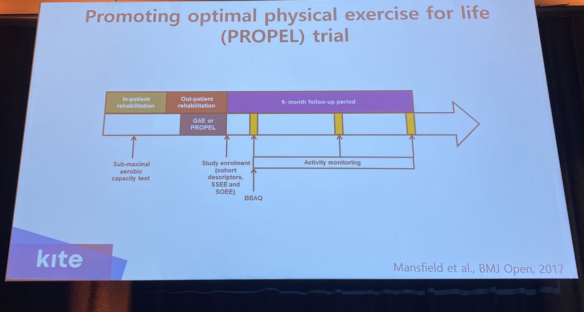 Sandy_REACHLab's tweet photo. Provocative talk here at #ESOC2024 Avril Mansfield looking at group exercise to reduce barriers to exercise implementation #greatsession ๐๐ป๐๐ปWay to challenge us @APTAStrokeSIG @ACRMStroke https://t.co/OCXEIhZ4AC