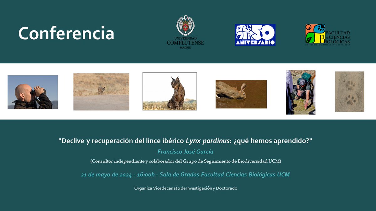 Conferencia 'Declive y recuperación del lince ibérico Lynx pardinus: ¿qué hemos aprendido?' impartida por Francisco José García González (Colaborador del Grupo de Seguimiento de Biodiversidad UCM). 21 de mayo de 2024. 16:00 h. Sala de Grados-Facultad de Ciencias Biológicas UCM.