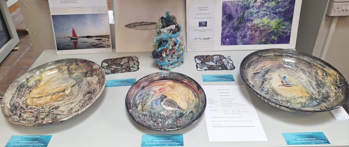 #Bantrylibrary is delighted to host a lovely exhibition on behalf of the Seabed Sanctuary to coincide with Biodiversity Week, May 17-26.

A talk will take place in the library on 22nd May at 1 p.m.

#seabedsanctuary, #biodiversityweek
