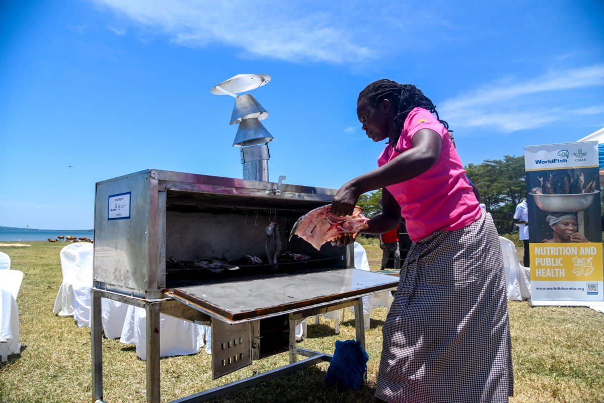 #Hotoffthepress 📰 Scientists in search of climate-smart techniques for fish preservation and value addition In this @NationAfrica article, read how these innovations will help fisher communities respond to #climatechange 👉 on.cgiar.org/4aslSv4 @WorldFishCenter @SEIresearch