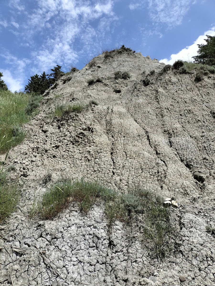 a very nice trip with Francesca Vergari and Analisa from @SapienzaRoma and Manuel Stark form @unieichstaett to #tuscany. Beautiful bedlands area with lots of #biancane and #calanchi forms. #fieldwork #geomorphology #igsopas #tuscany #bedland