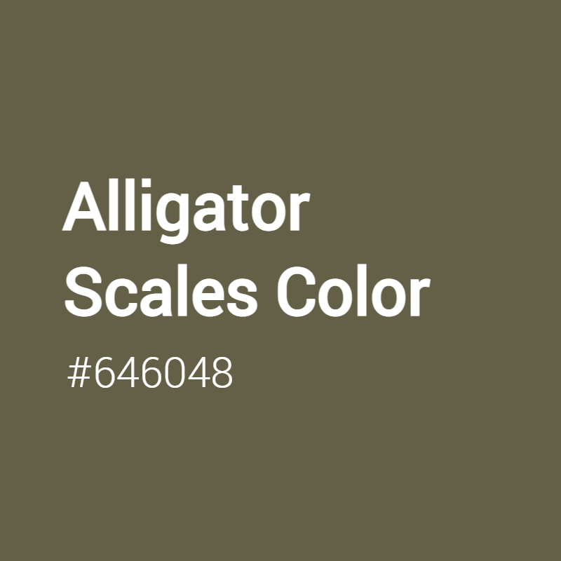 Alligator Scales color #646048 A Cool Color with Yellow hue! 
 Tag your work with #crispedge 
 crispedge.com/color/646048/ 
 #CoolColor #CoolYellowColor #Yellow #Yellowcolor #AlligatorScales #Alligator #Scales #color #colorful #colorlove #colorname #colorinspiration