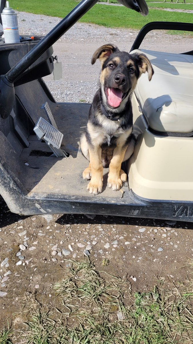 Added a new family/saff member. ❤️