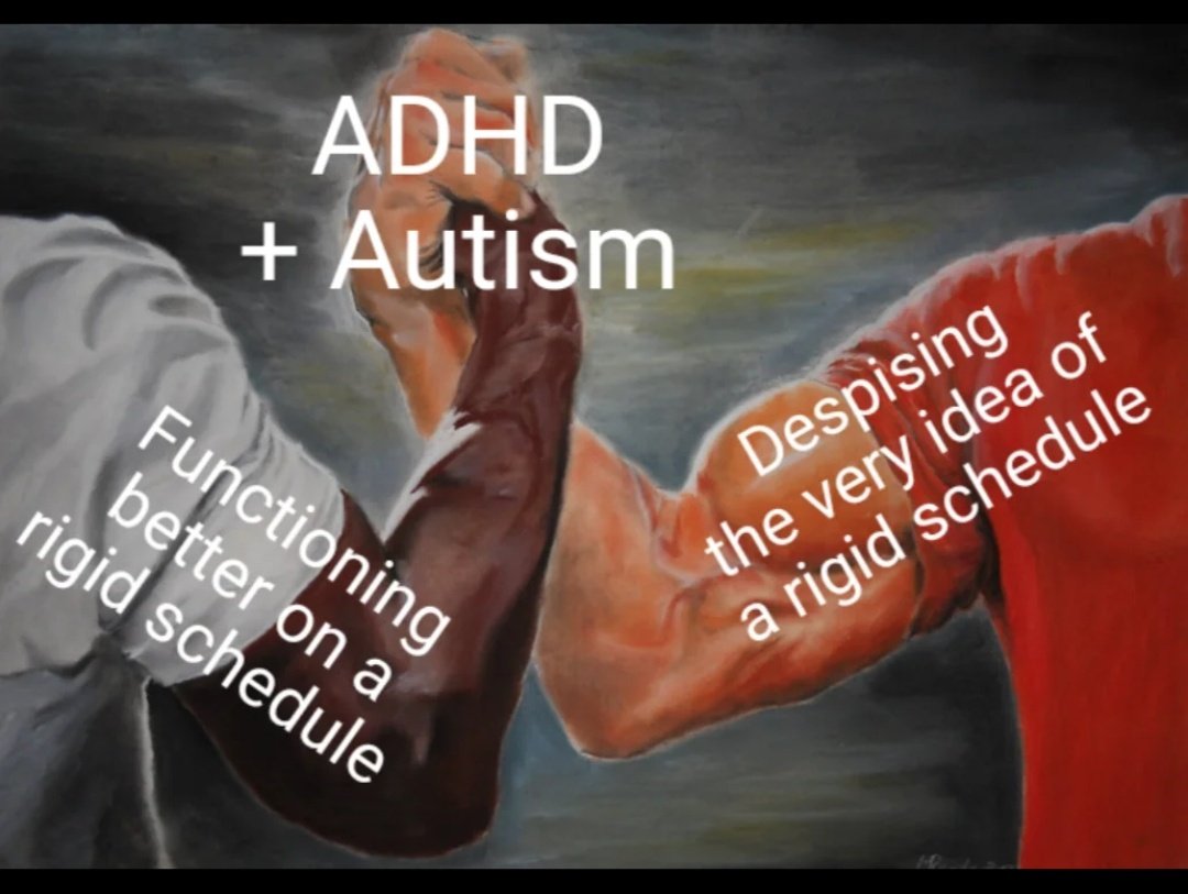 ADHD Memes (@ADHDForReal) on Twitter photo 2024-05-16 12:31:21