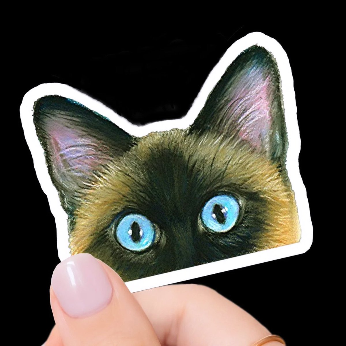 Siamese Cat Stickers! artbyjulene.etsy.com/listing/173183… #siamesecat #siamesekitty #catstickers #catsontwitter #catsofx