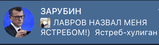 Подумал, что это пародийный аккаунт, как у Медведева