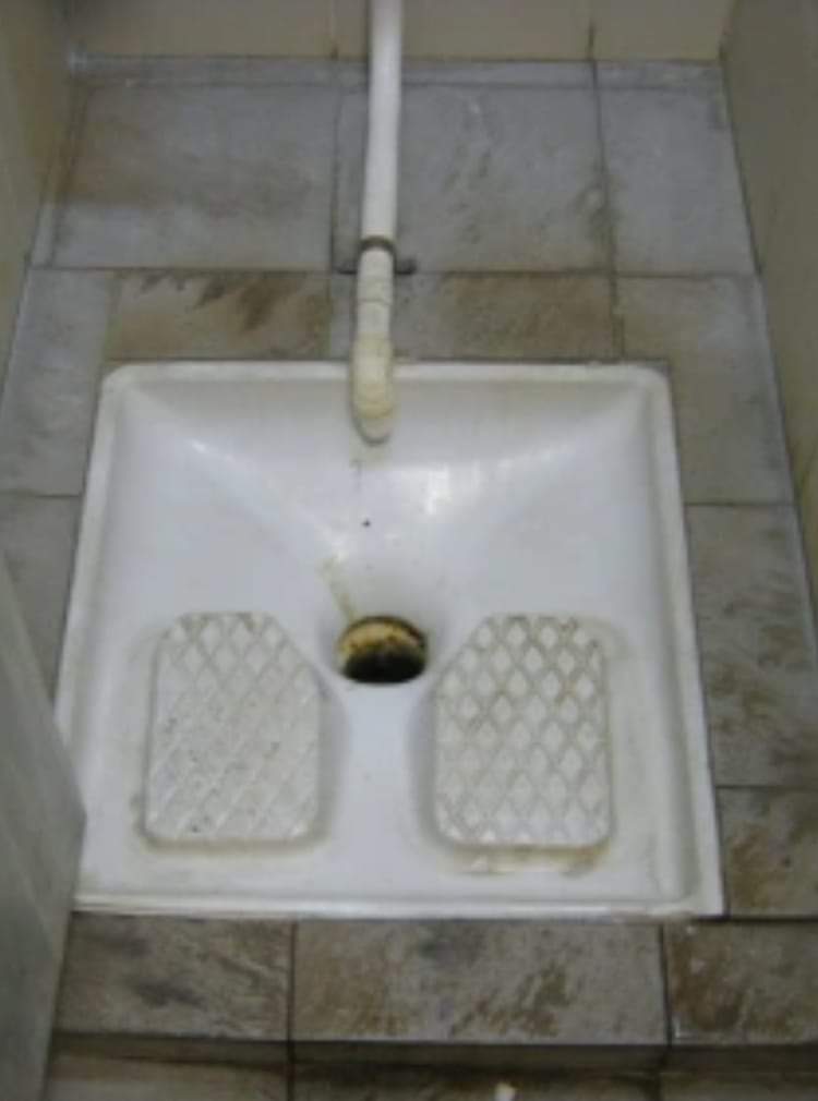 Catharina2022🇳🇱 tweet media