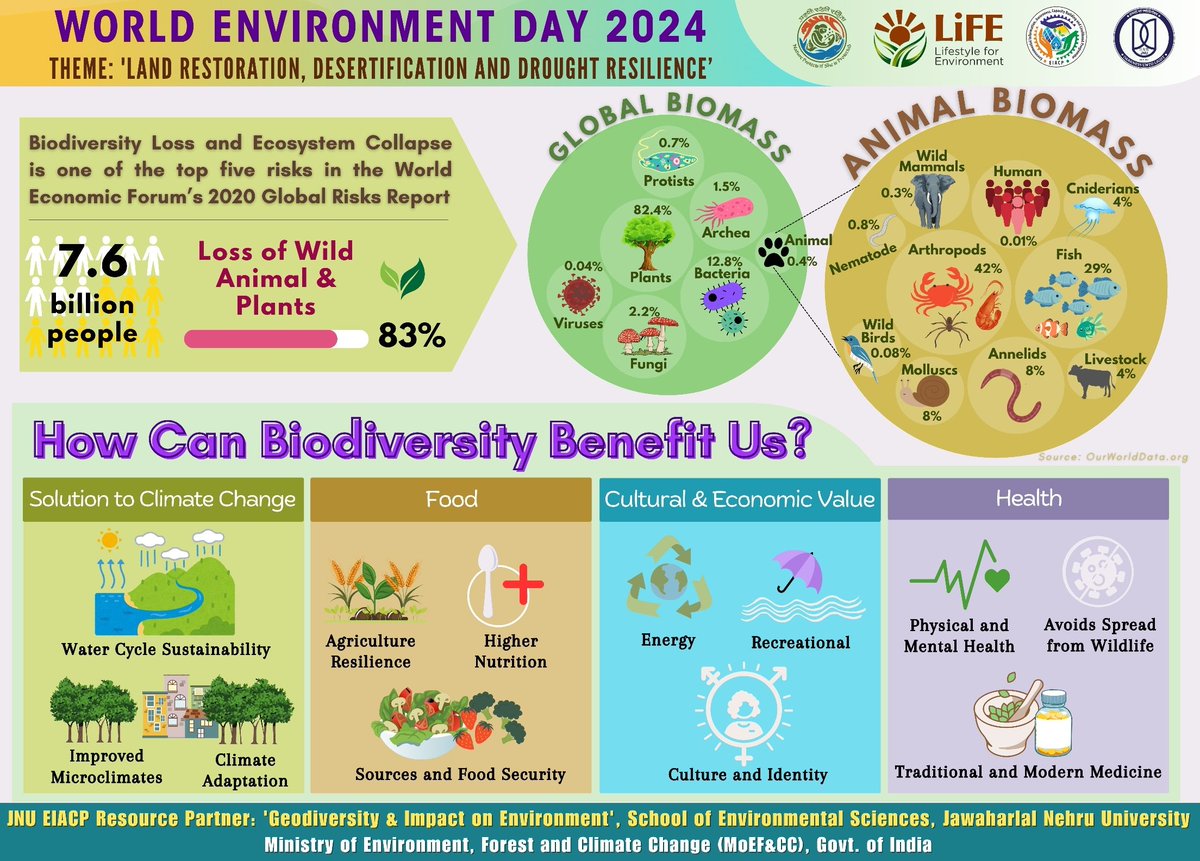 #Biodiversity is our planet's lifeline, yet we're witnessing its rapid decline due to human activities like deforestation. Let's prioritize #LandRestoration efforts to reverse the trend & restore #ecosystem. 
#BiodiversityLoss  #WorldEnvironmentDay #GenerationRestoration #WED2024