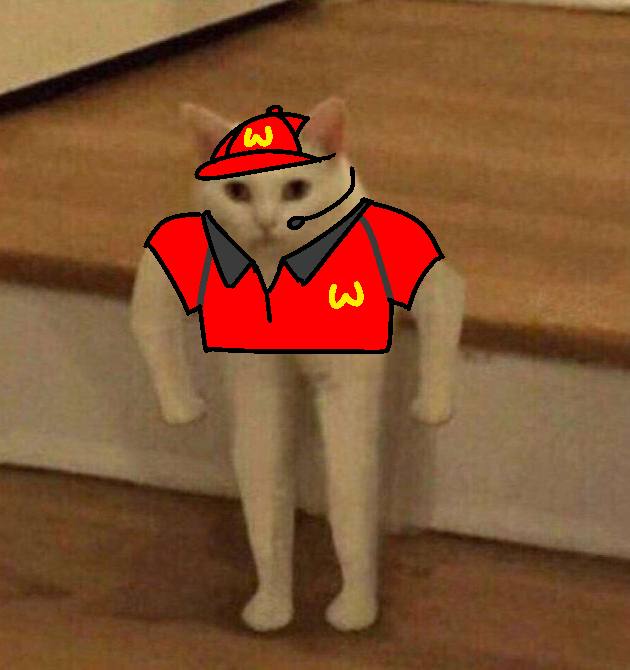 mrjocatsol's tweet image. pov: you not holding $JOCAT