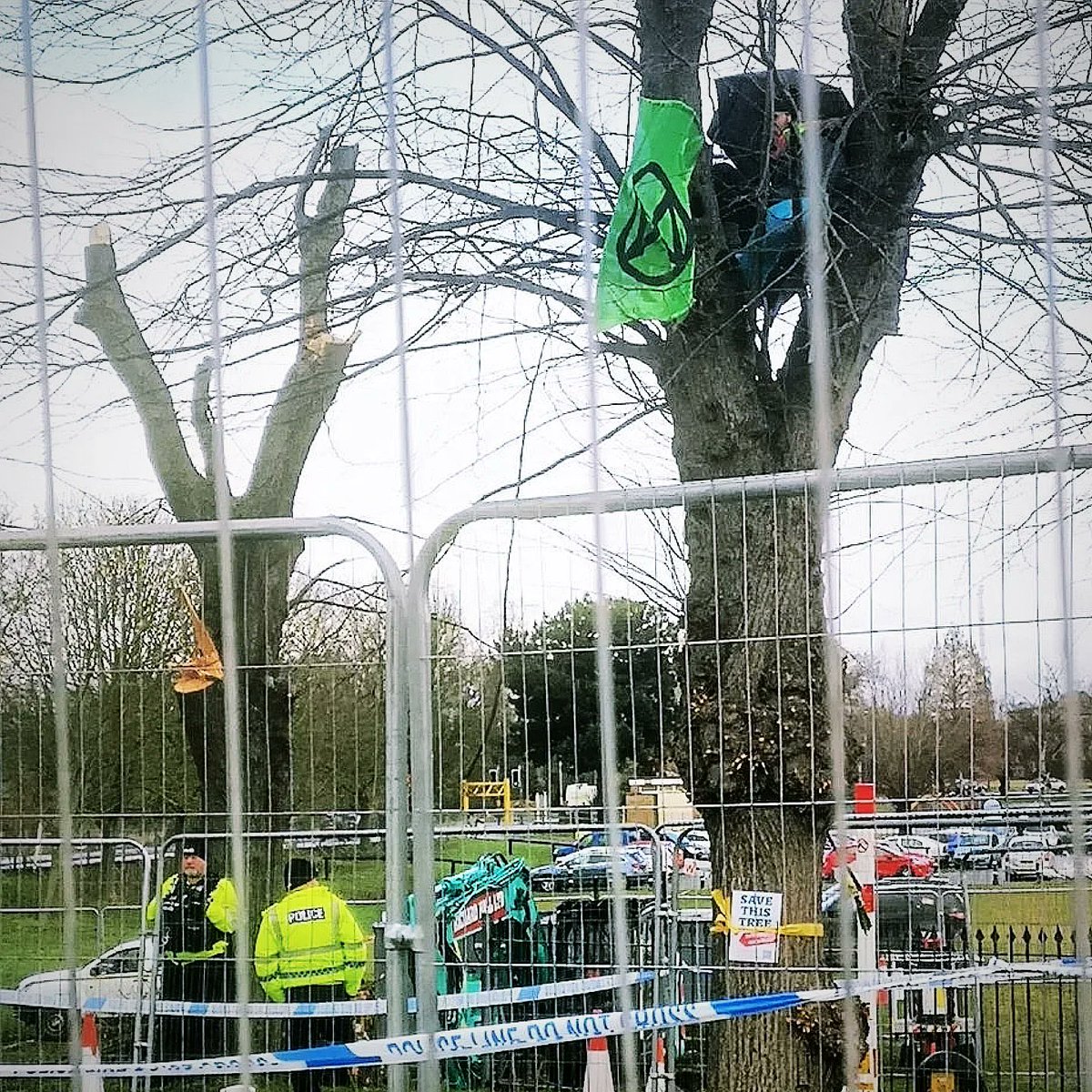 Met a friend in Wellingborough with our dogs. Wandered down the Embankment to show her the famous limes. Heartening to see one of the trees I photographed last year, hacked about by the developers, is re-growing 💚.
#wellingboroughwalks #saveourtrees