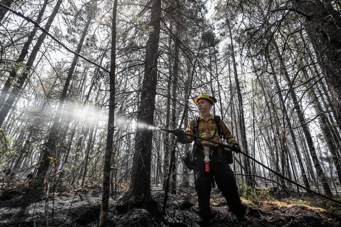 Photo of a firefighter spraying water from a hose in a forest