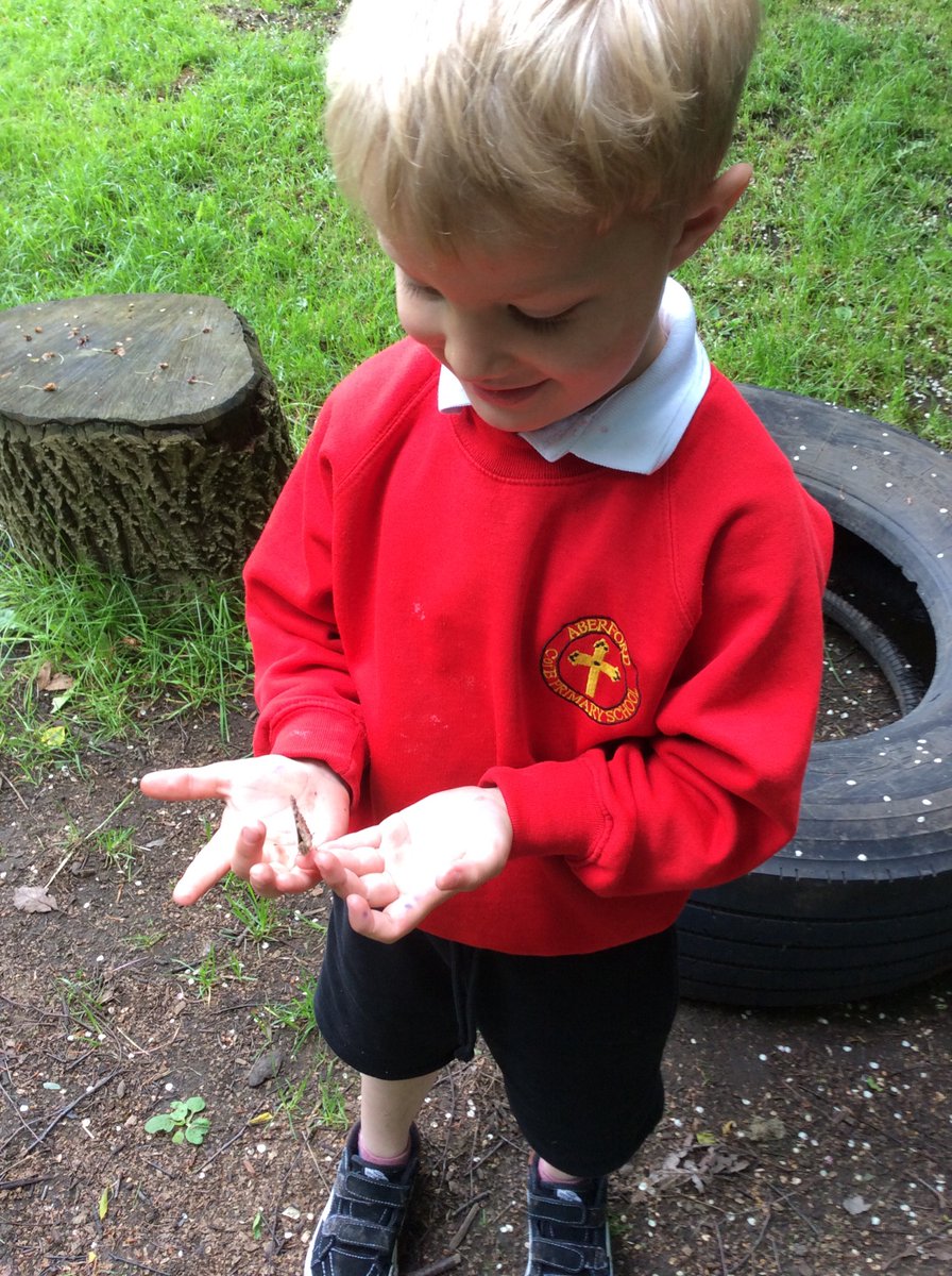 AberfordPrimary's tweet photo. A magical morning in Class 1 releasing our butterflies!
#EYFS #butterflies #lifecycles https://t.co/FH3Z35y5LC