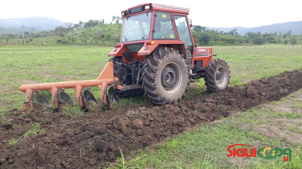 siguicoda's tweet image. 🌾 𝐂𝐚𝐦𝐩𝐚𝐠𝐧𝐞 𝐝𝐞 𝐋𝐚𝐛𝐨𝐮𝐫 𝟐𝟎𝟐𝟒 
       
𝐏𝐚𝐫𝐭𝐚𝐠𝐞 𝐝𝐞 𝐬𝐮𝐜𝐜𝐞̀𝐬 𝐝𝐞 𝐧𝐨𝐭𝐫𝐞 𝐞́𝐪𝐮𝐢𝐩𝐞 𝐚̀ 𝐁𝐞𝐲𝐥𝐚, 𝐒𝐢𝐧𝐤𝐨

Fière de notre chef de centre et son équipe pour leur dévouement continu envers notre communauté agricole locale.
#Labour