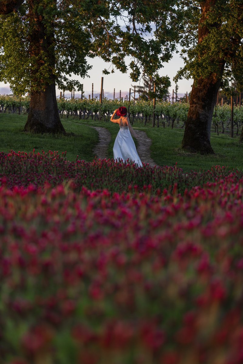 Melissa D. Jones tweet media