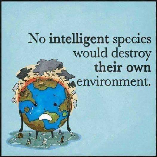 There’s nothing intelligent about polluting the air, water, and soil on which you depend for survival. No matter how big the “profits” are. #climateaction #pollution
