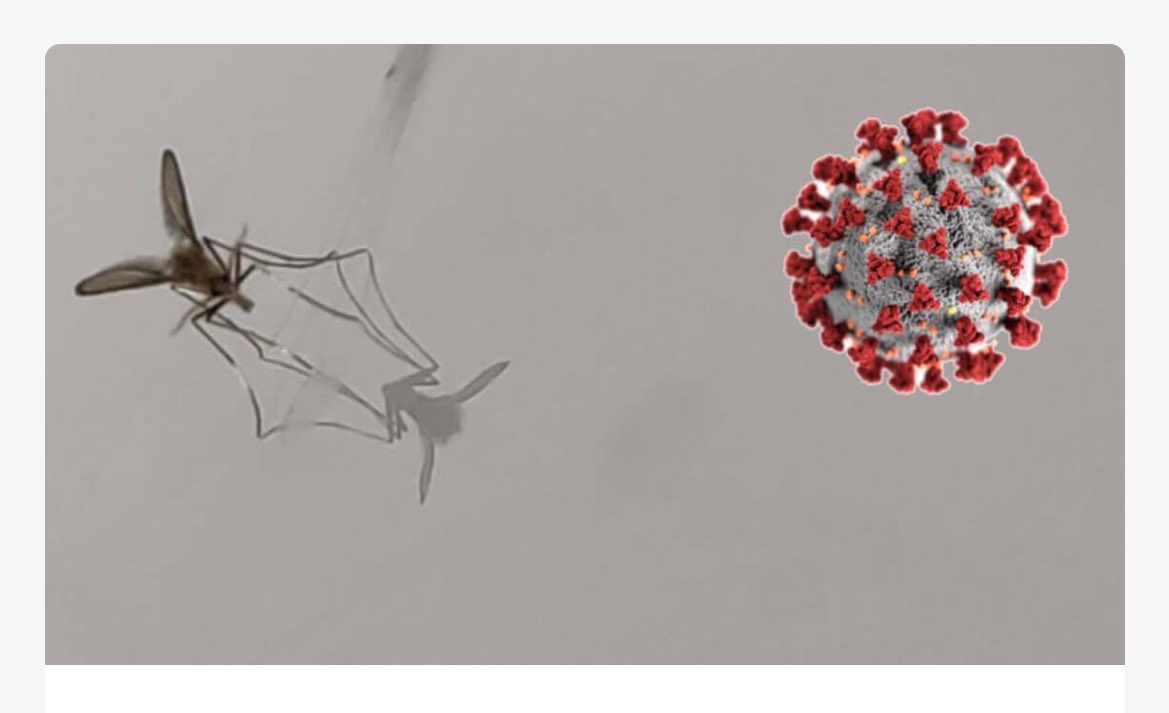 XIV Jornadas de Enf. Emergentes acreditadas por SNS 👉10-11 junio Auditorio @COMBarcelona Formato híbrido Programa definitivo e inscripciones gratuitas: uitb.cat/event/xiv-jorn… @salutpublicabcn @ServeisClinics @IDIAPJGol @seepidemiologia @Sanidad_Peniten @sespas @SEMERGENap