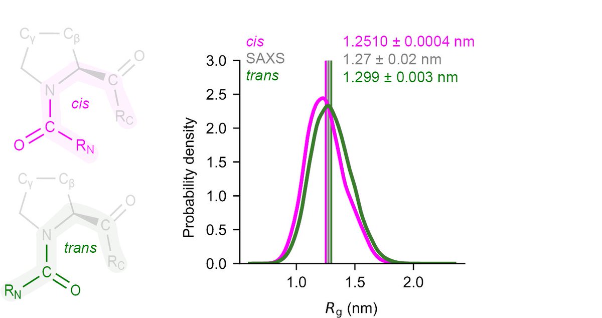 Happy to share our @biorxivpreprint ! We characterised proline cis/trans states in an #IDP using #Metadynamics, #SAXS, and #NMR 🍝⚛️🧲🖥️ biorxiv.org/content/10.110… @bhu_vaibhav @FigueiredoAm @LS_Newton Stephen McCarthy Alethea Tabor @G_T_Heller @cdlorenz @DFlemmingHansen (1/3)