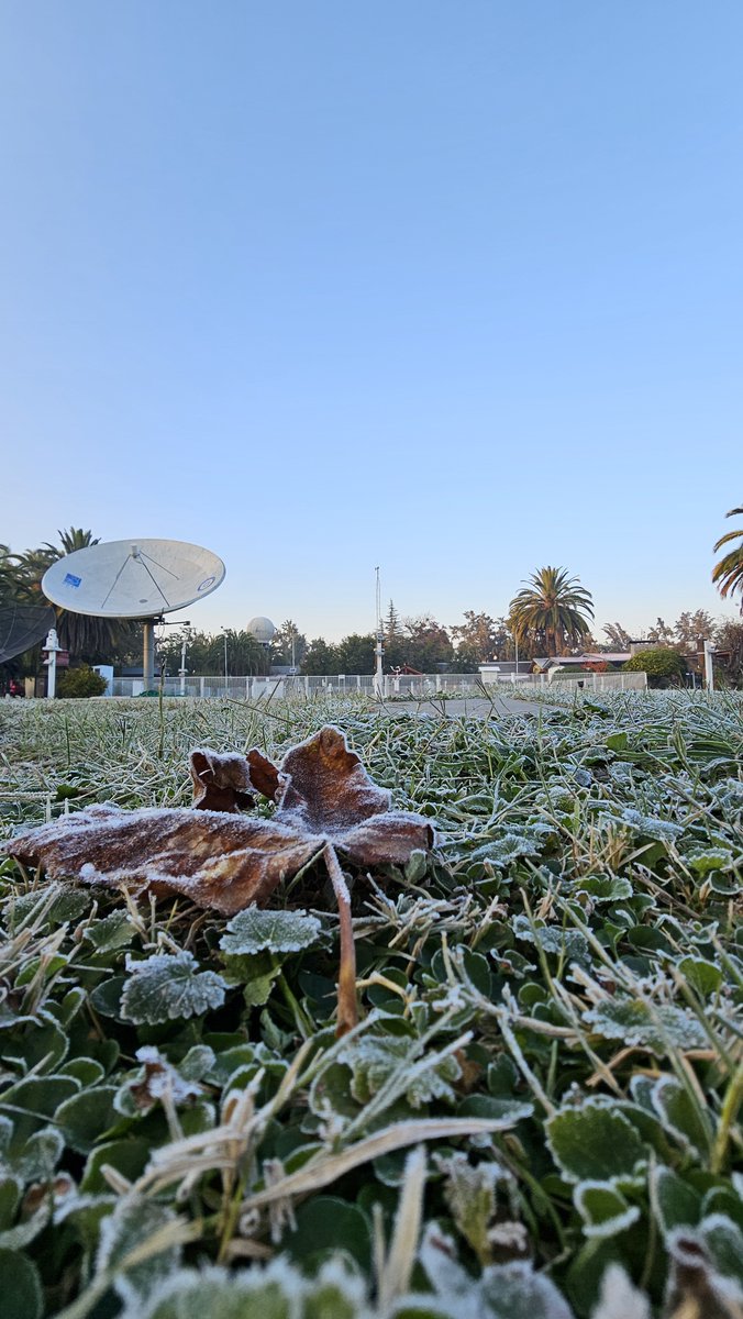 #Temperatura 🥶 | #Santiago Hoy la T° mínima en la Estación Meteorológica Quinta Normal en Santiago marcó a las 7.19 hrs. -1.1°C, la más baja de lo que va el 2024, ubicándose en el 3er lugar del ránking histórico para un mes de mayo desde 1941. ¿Y ustedes sintieron frío?🤔