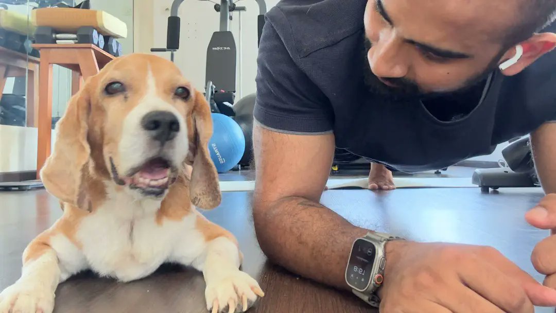 See how Varun Sudhakar is using design to make pets lives better!! 🐶🌟Check it out: [ happypet.care/news-stories/p… ]

#PetLove #DesignForPets #happypet #happypetcare #beagle
