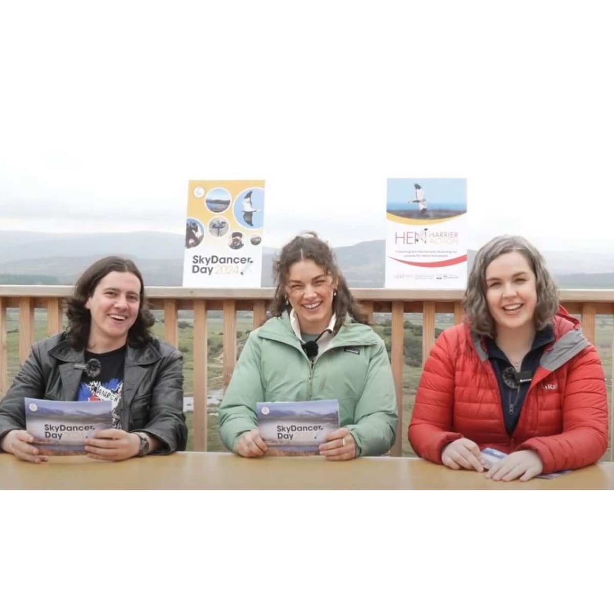 Lauren Cook tweet media