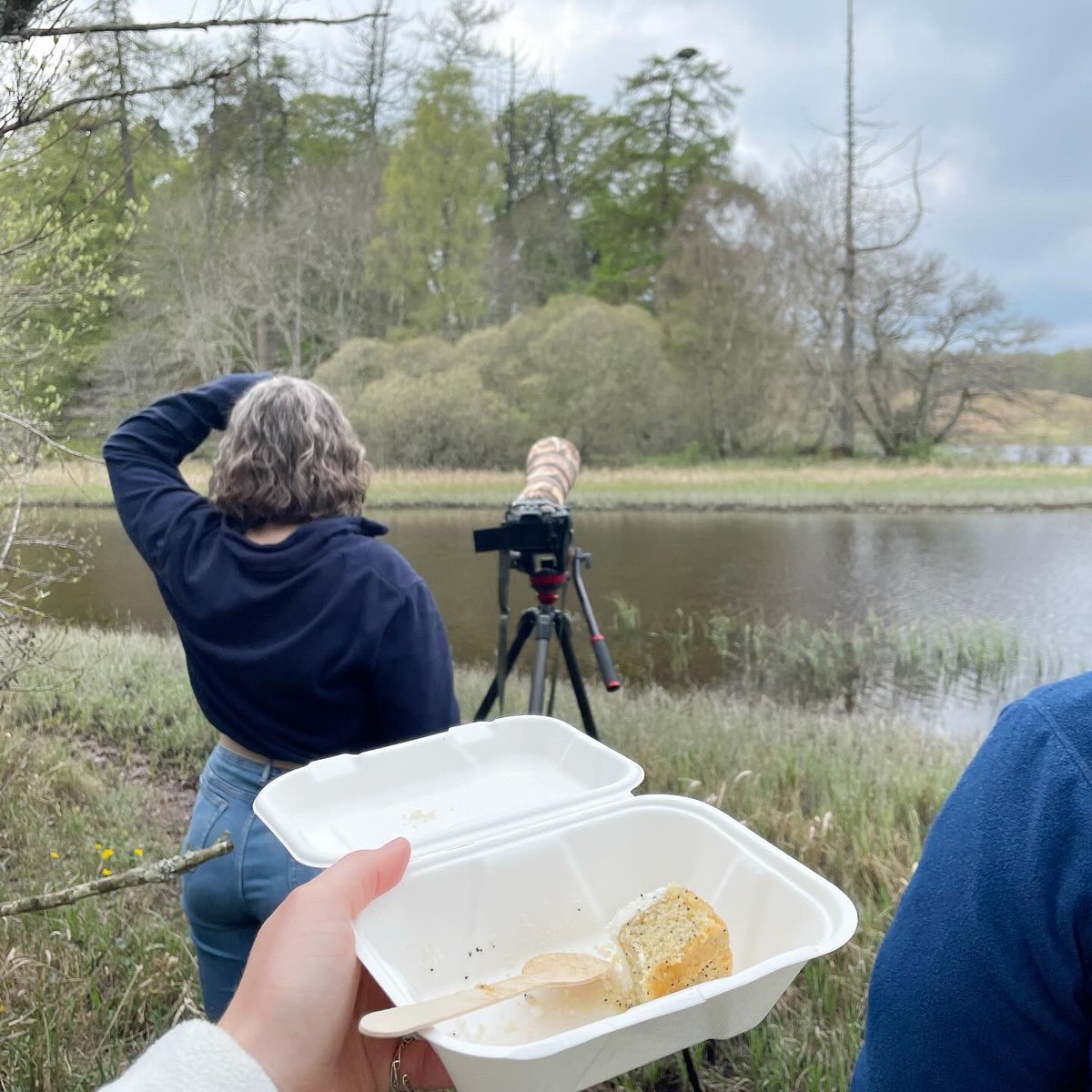 Lauren Cook tweet media