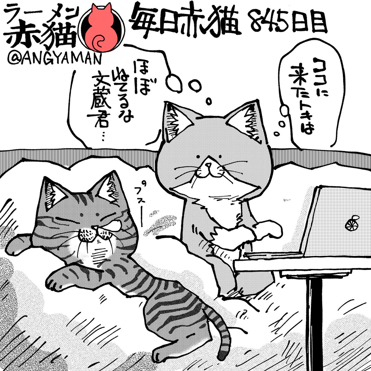 なかよし
#ラーメン赤猫 #ジャンププラス
100話 https://t.co/gd1bq3u4wu 