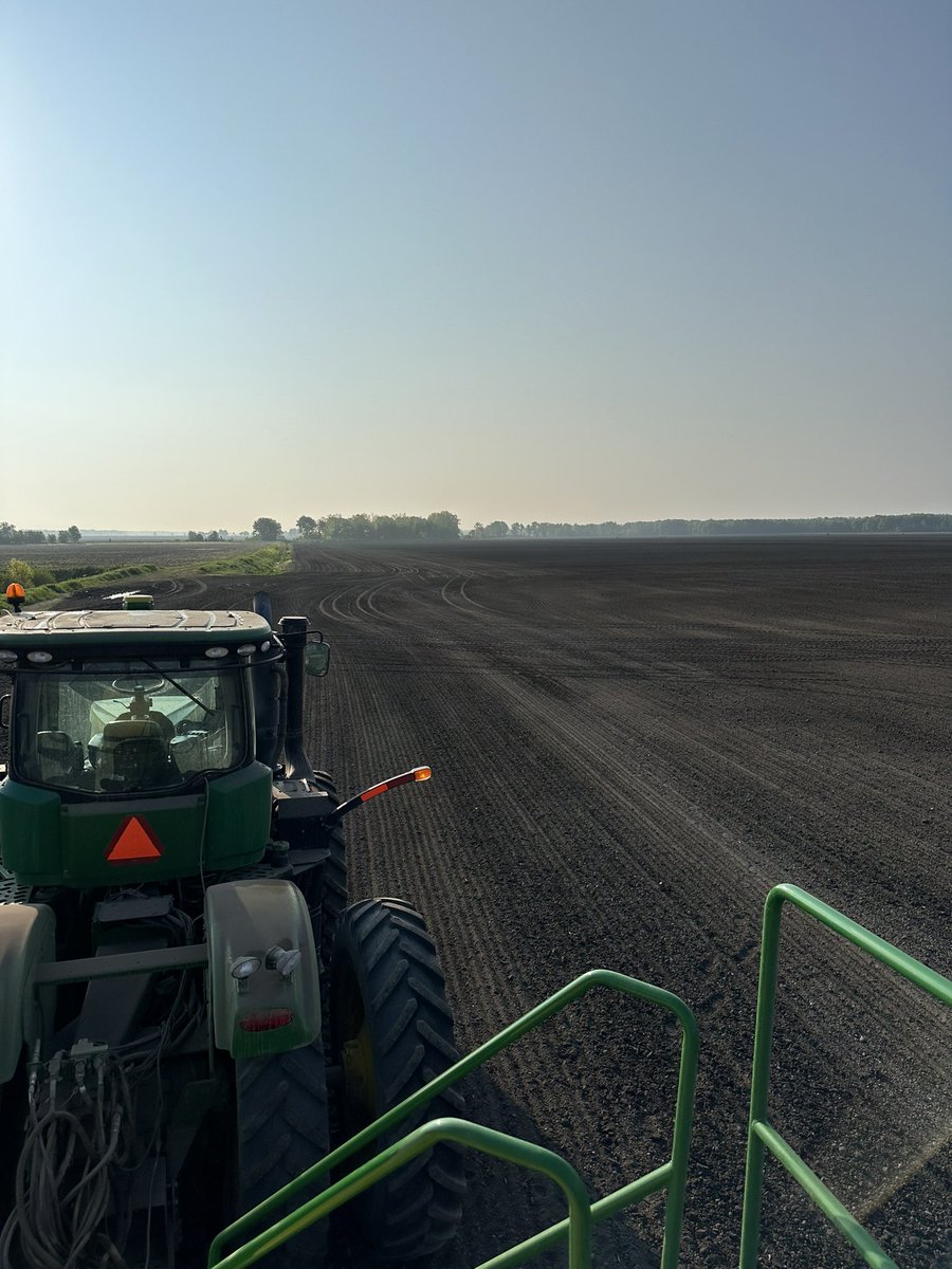 Beauty Morning on the Haig 🌽🌽🌽 #Plant24 ☀️ 💨 🔨 ⬇️