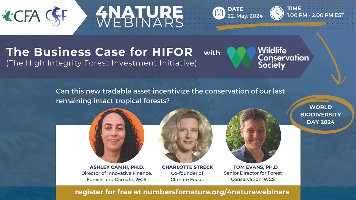 REGISTER: The Business Case for HIFOR, a #WorldBiodiversityDay webinar | bit.ly/44RrrSQ The High Integrity Forest Investment Initiative (HIFOR) aims to create a new climate and biodiversity asset class to help finance the protection of high integrity tropical forests.