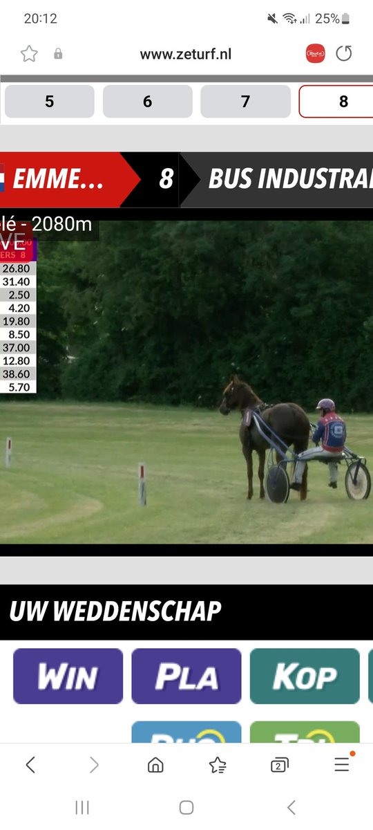 alexhindriks's tweet photo. Het grasbaanseizoen is gisteren weer van start gegaan, de eer was aan #emmeloord 1 deelnemer (Flaming glory) had er echter geen zin in. Bij startvrij stond hij in de verste bocht en deed geen stap voor- of achteruit. https://t.co/0WpaM8WQew