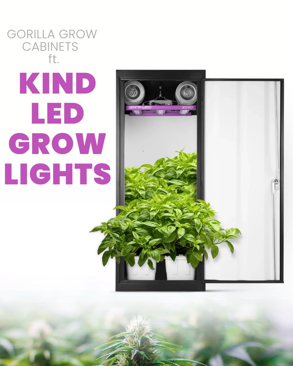 Ready to take your indoor growing to the next level? Look no further! You can find @KindLEDGrowLights in @GorillaGrowTent's complete grow cabinet and tent systems! 🌱✨ 🛒 Shop KIND: bit.ly/KINDLED