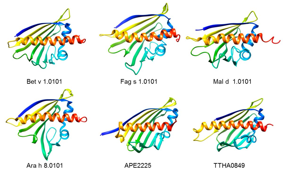 #HighlyCitedPaper Read now ➡️ 'The History and Science of the Major Birch Pollen Allergen Bet v 1' by Heimo Breiteneder and Dietrich Kraft. 👉 brnw.ch/21wJPXL