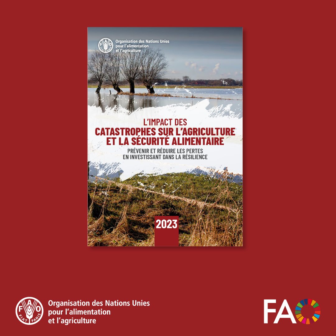 Le rapport de @FAO sur l'impact des catastrophes sur l'agriculture et la sécurité alimentaire 2023 est disponible. Ce rapport apporte la toute première estimation au niveau mondial de l'impact des catastrophes sur l'agriculture. 📕doi.org/10.4060/cc7900… #DisasterRiskReduction